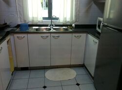 Springdale Condominium (D21), Condominium #439403051